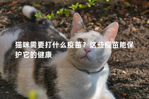 猫咪需要打什么疫苗？这些疫苗能保护它的健康