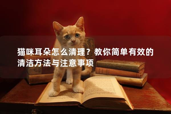 猫咪耳朵怎么清理？教你简单有效的清洁方法与注意事项