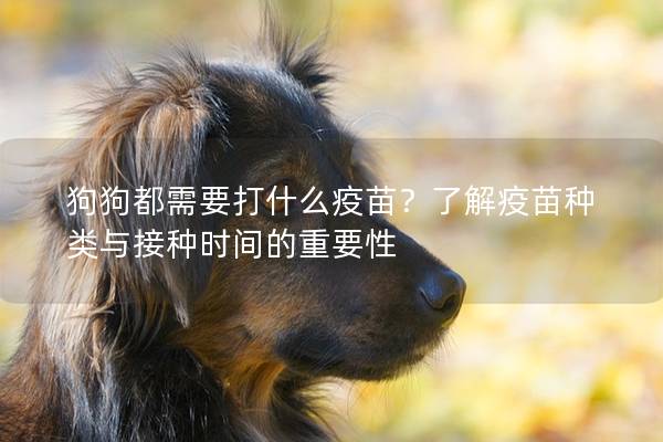 狗狗都需要打什么疫苗？了解疫苗种类与接种时间的重要性