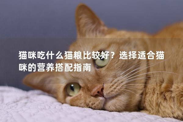 猫咪吃什么猫粮比较好？选择适合猫咪的营养搭配指南