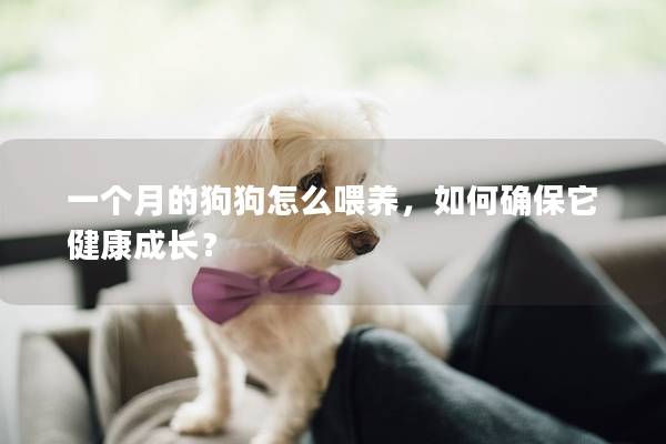 一个月的狗狗怎么喂养，如何确保它健康成长？