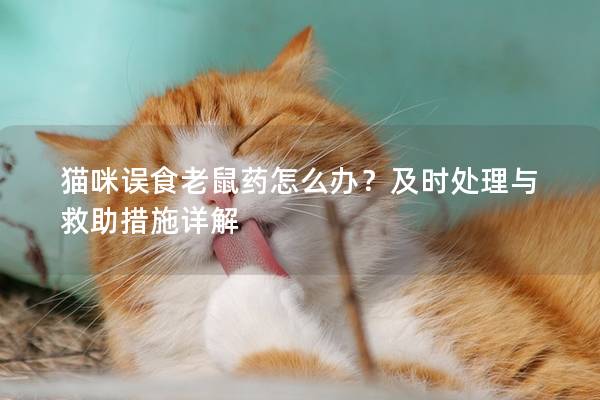 猫咪误食老鼠药怎么办？及时处理与救助措施详解