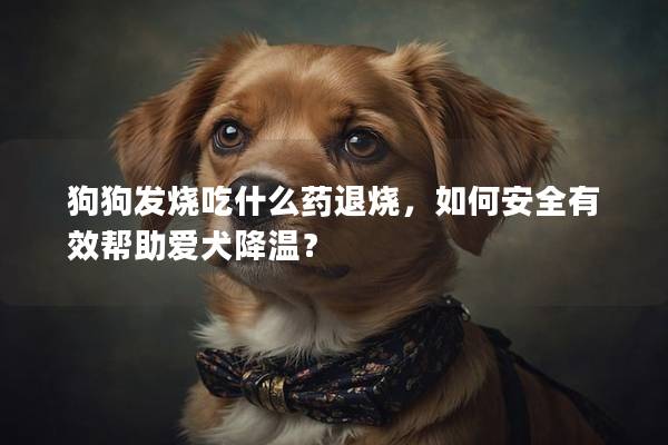 狗狗发烧吃什么药退烧，如何安全有效帮助爱犬降温？