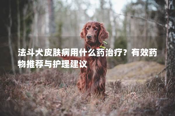 法斗犬皮肤病用什么药治疗？有效药物推荐与护理建议