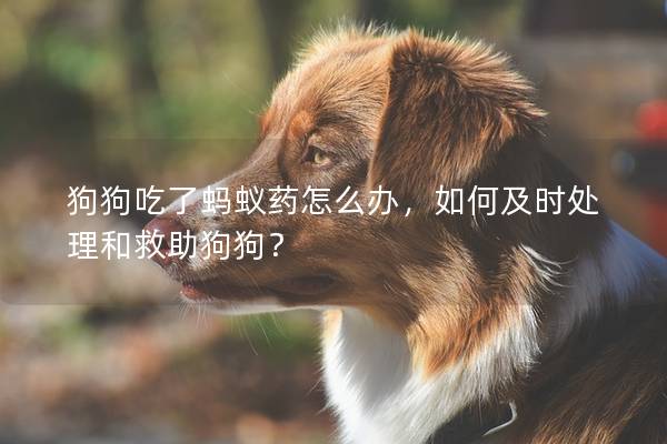 狗狗吃了蚂蚁药怎么办，如何及时处理和救助狗狗？