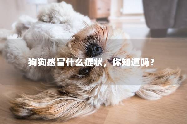 狗狗感冒什么症状，你知道吗？