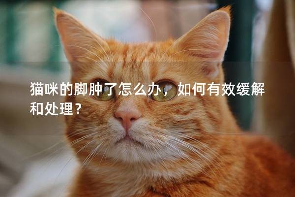 猫咪的脚肿了怎么办，如何有效缓解和处理？