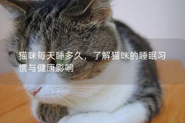 猫咪每天睡多久，了解猫咪的睡眠习惯与健康影响