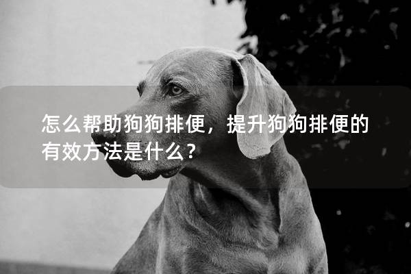 怎么帮助狗狗排便，提升狗狗排便的有效方法是什么？