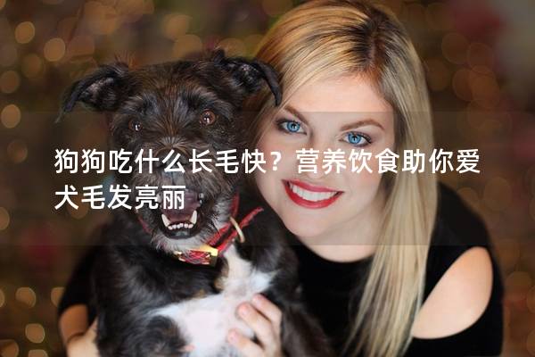 狗狗吃什么长毛快？营养饮食助你爱犬毛发亮丽