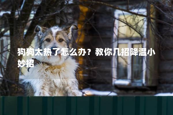 狗狗太热了怎么办？教你几招降温小妙招