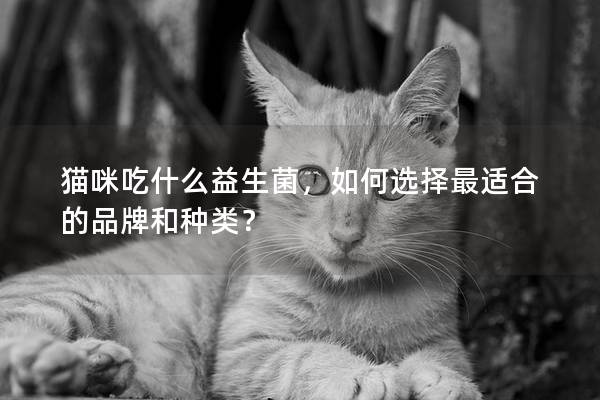 猫咪吃什么益生菌，如何选择最适合的品牌和种类？