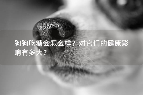 狗狗吃糖会怎么样？对它们的健康影响有多大？