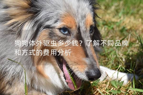 狗狗体外驱虫多少钱？了解不同品牌和方式的费用分析