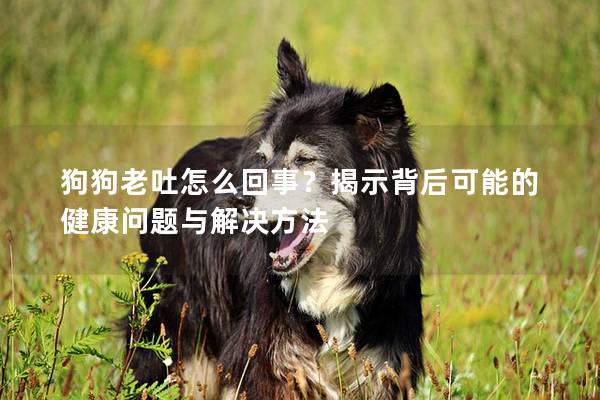 狗狗老吐怎么回事？揭示背后可能的健康问题与解决方法