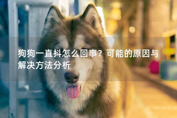 狗狗一直抖怎么回事？可能的原因与解决方法分析