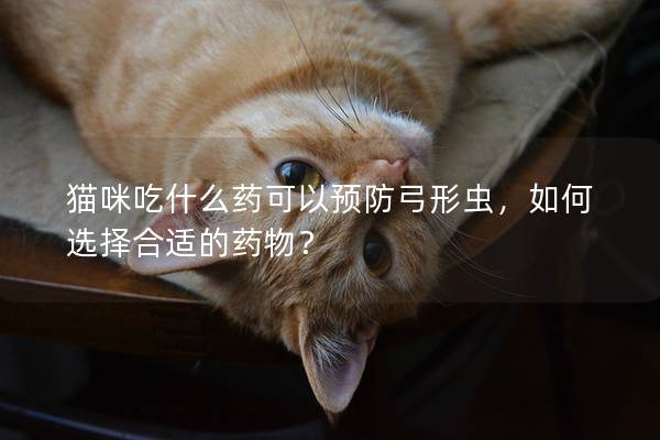 猫咪吃什么药可以预防弓形虫，如何选择合适的药物？