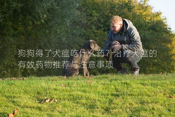 狗狗得了犬瘟吃什么药？治疗犬瘟的有效药物推荐与注意事项