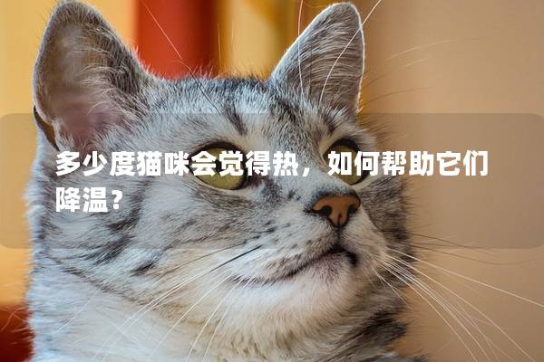 多少度猫咪会觉得热，如何帮助它们降温？