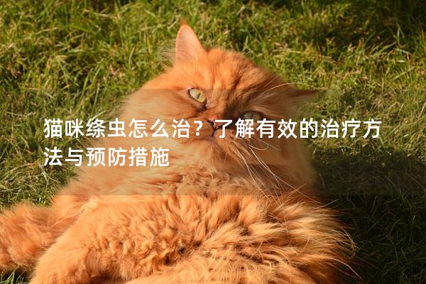 猫咪绦虫怎么治？了解有效的治疗方法与预防措施