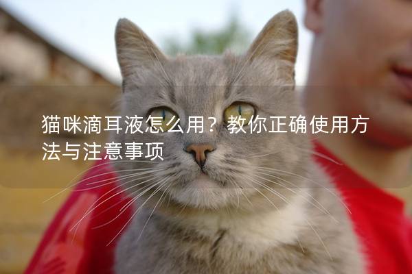 猫咪滴耳液怎么用？教你正确使用方法与注意事项