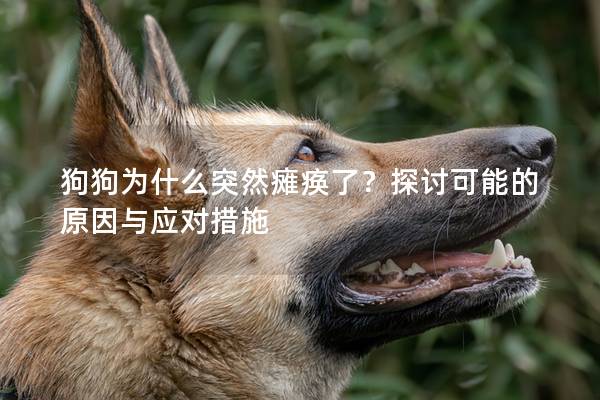 狗狗为什么突然瘫痪了？探讨可能的原因与应对措施