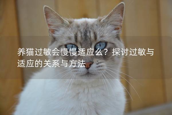 养猫过敏会慢慢适应么？探讨过敏与适应的关系与方法