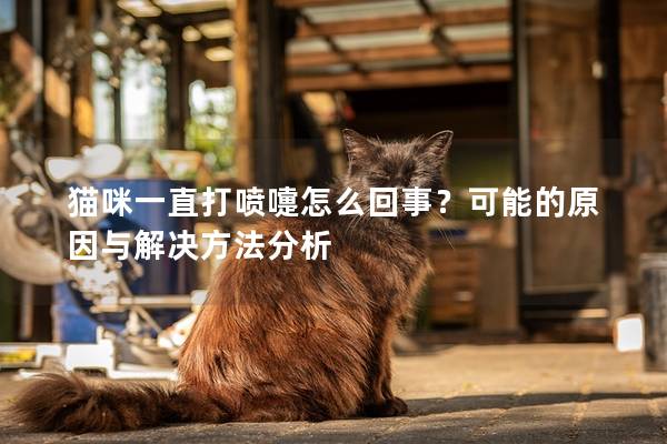 猫咪一直打喷嚏怎么回事？可能的原因与解决方法分析