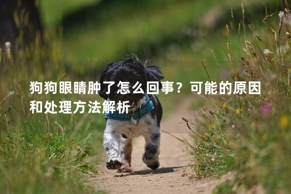 狗狗眼睛肿了怎么回事？可能的原因和处理方法解析