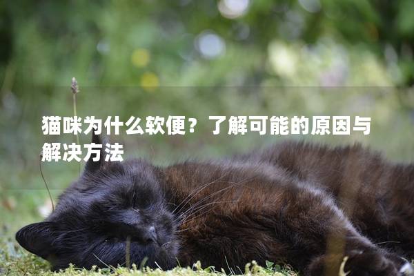 猫咪为什么软便？了解可能的原因与解决方法