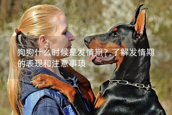 狗狗什么时候是发情期？了解发情期的表现和注意事项