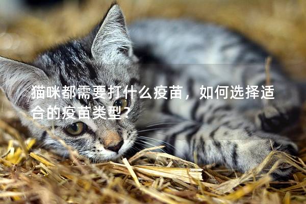 猫咪都需要打什么疫苗，如何选择适合的疫苗类型？