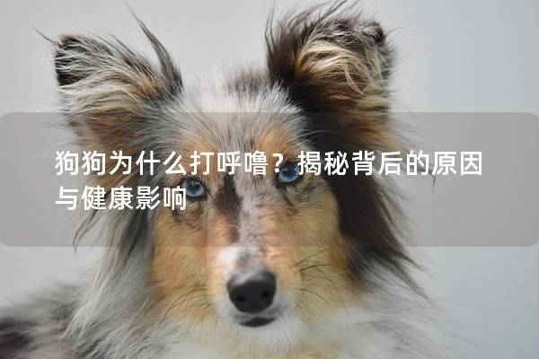 狗狗为什么打呼噜？揭秘背后的原因与健康影响