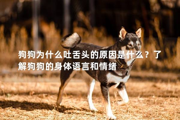 狗狗为什么吐舌头的原因是什么？了解狗狗的身体语言和情绪