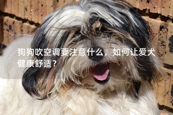 狗狗吹空调要注意什么，如何让爱犬健康舒适？