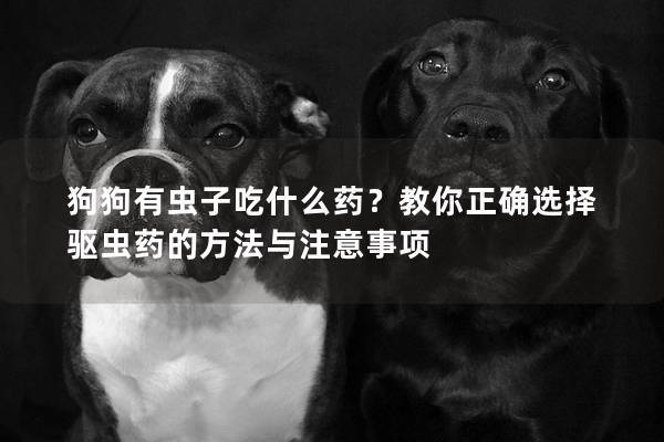 狗狗有虫子吃什么药？教你正确选择驱虫药的方法与注意事项