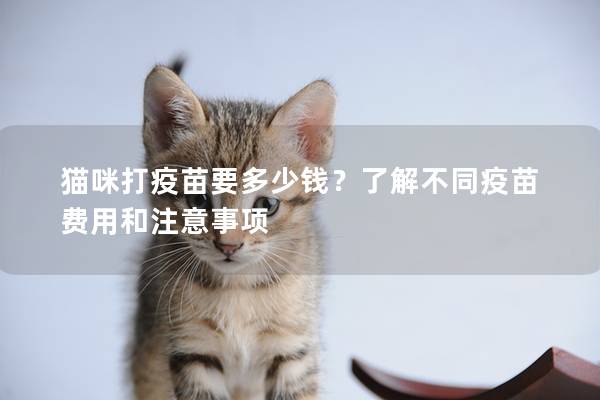 猫咪打疫苗要多少钱？了解不同疫苗费用和注意事项