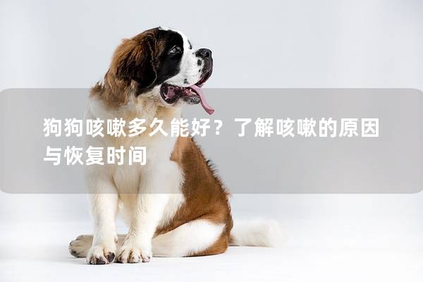 狗狗咳嗽多久能好？了解咳嗽的原因与恢复时间