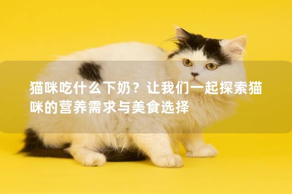 猫咪吃什么下奶？让我们一起探索猫咪的营养需求与美食选择