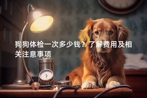 狗狗体检一次多少钱？了解费用及相关注意事项