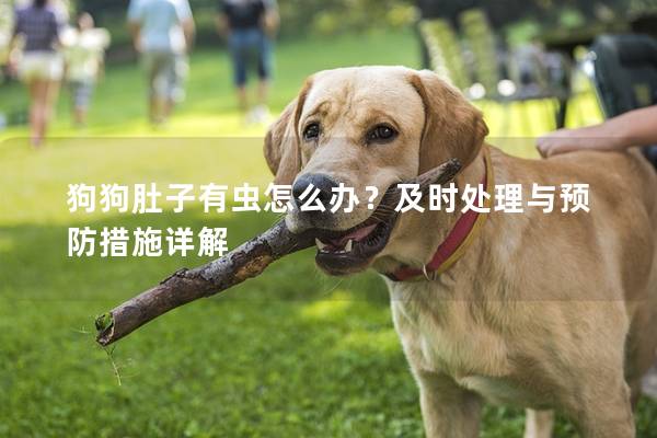 狗狗肚子有虫怎么办？及时处理与预防措施详解