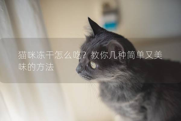 猫咪冻干怎么吃？教你几种简单又美味的方法