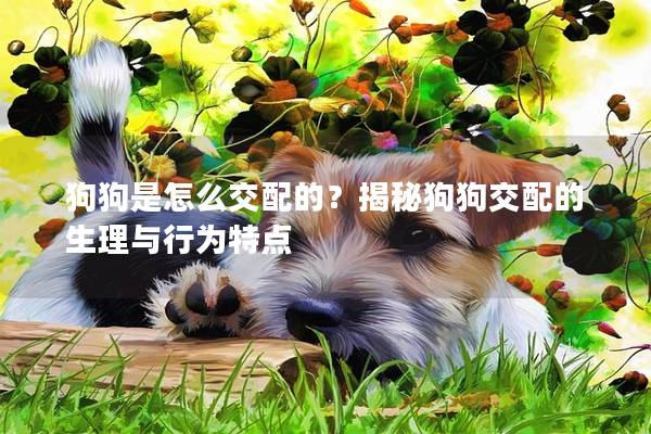 狗狗是怎么交配的？揭秘狗狗交配的生理与行为特点