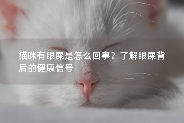 猫咪有眼屎是怎么回事？了解眼屎背后的健康信号