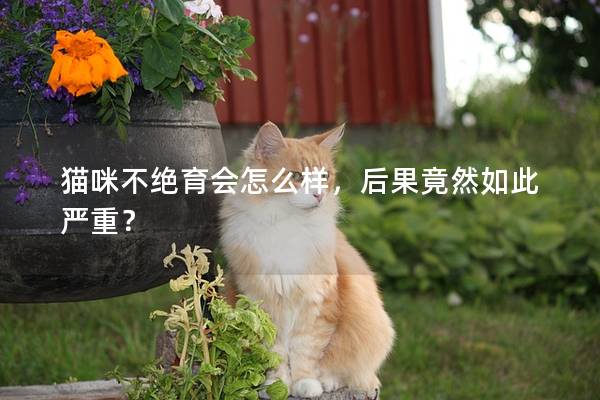 猫咪不绝育会怎么样，后果竟然如此严重？