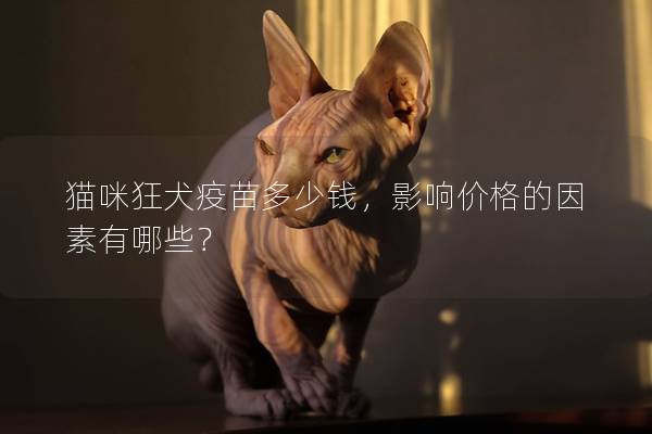 猫咪狂犬疫苗多少钱，影响价格的因素有哪些？