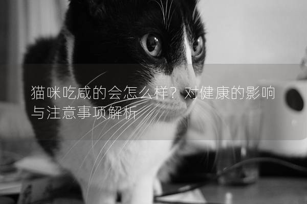 猫咪吃咸的会怎么样？对健康的影响与注意事项解析