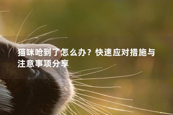 猫咪呛到了怎么办？快速应对措施与注意事项分享