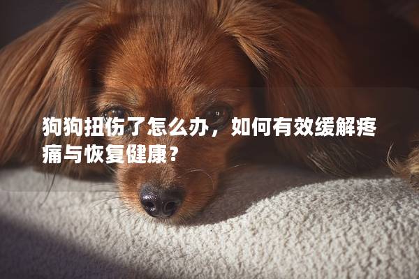 狗狗扭伤了怎么办，如何有效缓解疼痛与恢复健康？