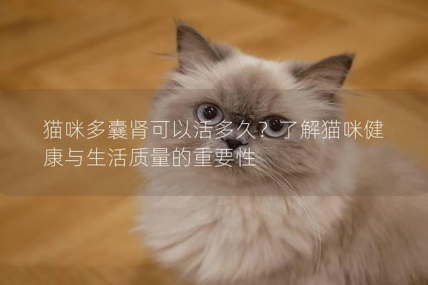 猫咪多囊肾可以活多久？了解猫咪健康与生活质量的重要性